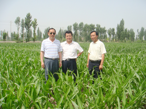 副总经理王建现在张掖检查制种基地和项目建设