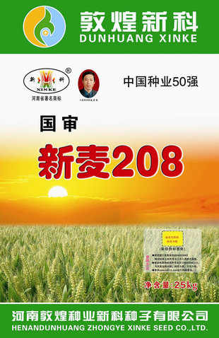 新麦208（郑育麦029）