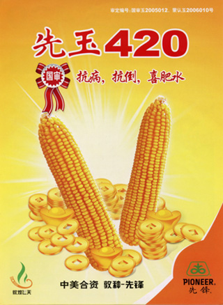 先玉420