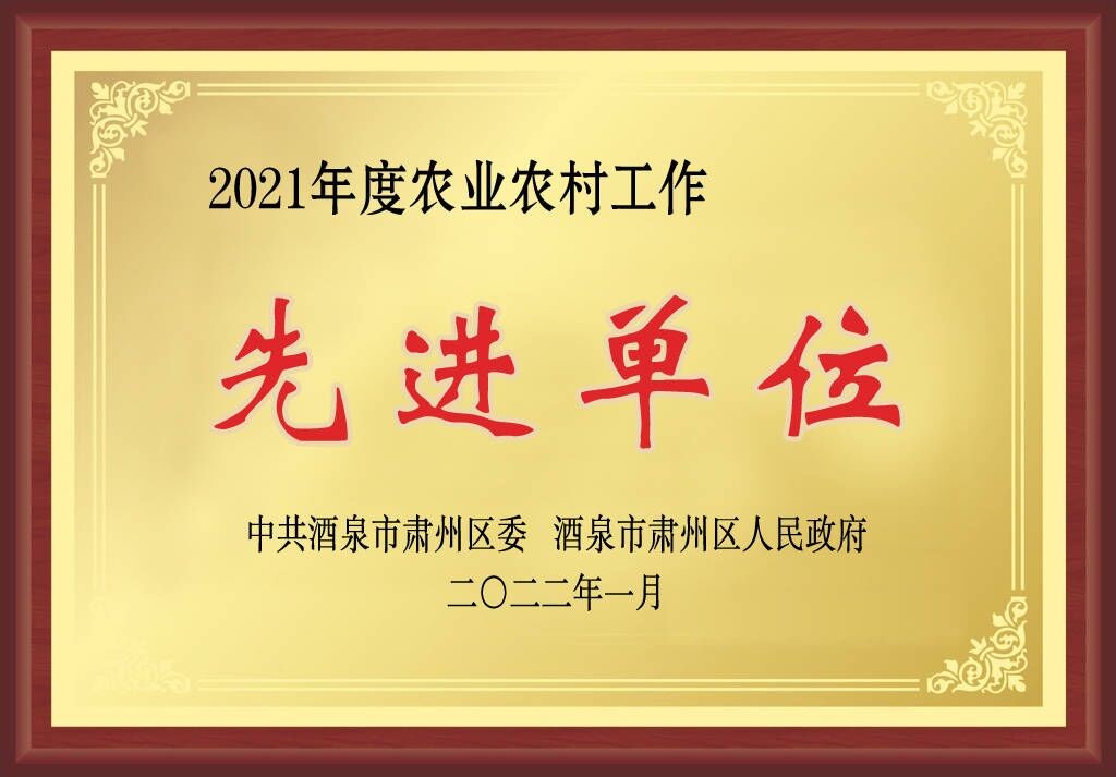 z6尊龙官网种业在肃州区经济暨农业农村工作会上获三项奖