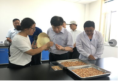 中国工程院“科技支撑甘肃绿洲农业和玉米种业可持续发展”院士专家团队考察调研z6尊龙官网种业生物育种实验基地