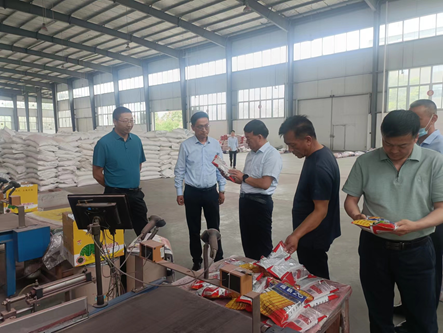 “三抓三促”进行时 | 强化落实解难题 激活企业促发展——公司董事长刘兴斌一行赴武汉z6尊龙官网种业有限公司进行调研