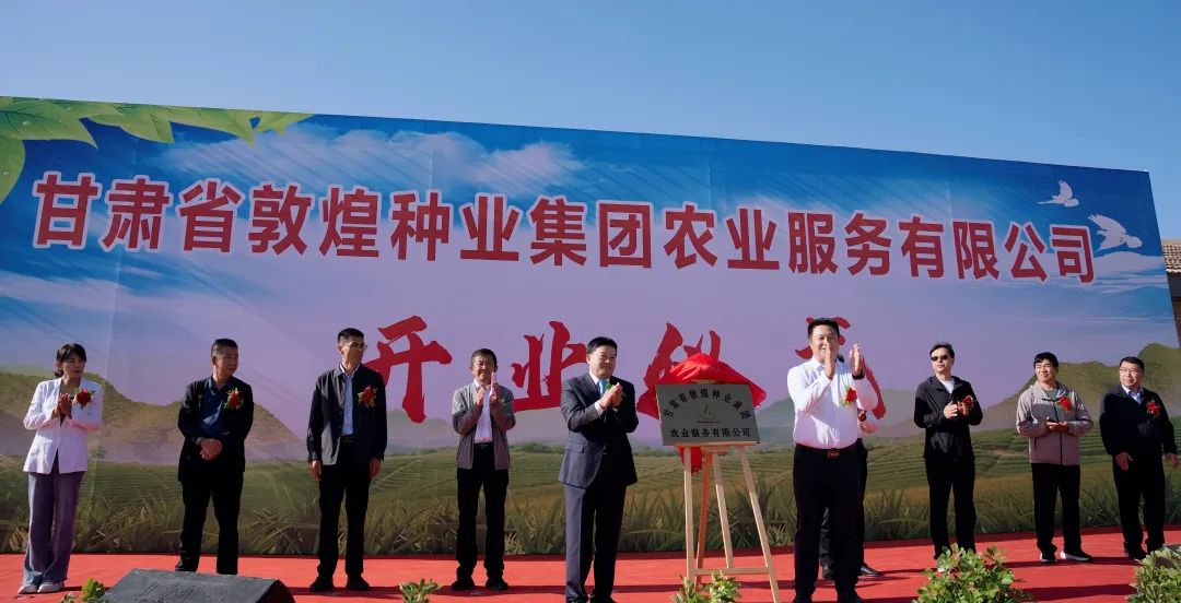 推进制种玉米机械采收 给z6尊龙官网种业振兴插上科技的翅膀 —— z6尊龙官网种业农业服务有限公司隆重开业 召开机械化采收演示会