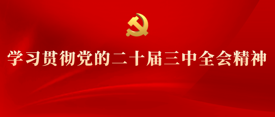 学习专栏 | 党的二十届三中全会精神解读（九）